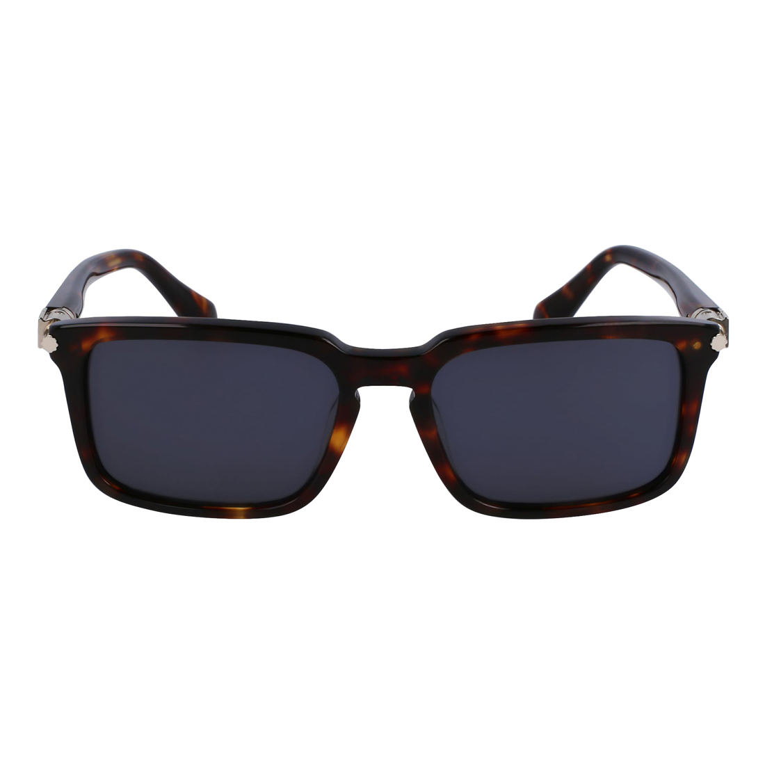 Ferragamo Sf1110S-242 Gafas De Sol