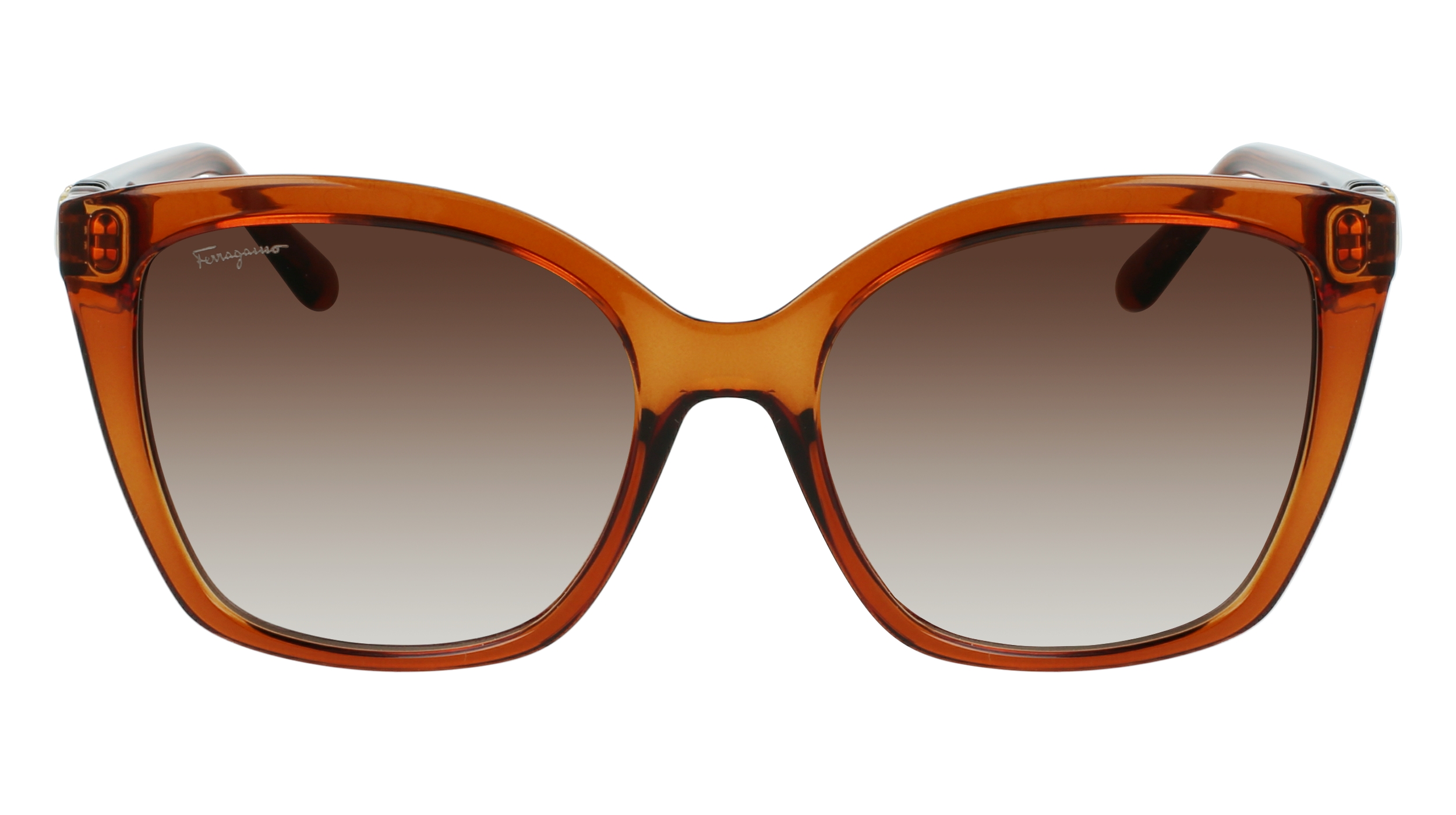 Ferragamo Sf1026S-261 Sunglasses