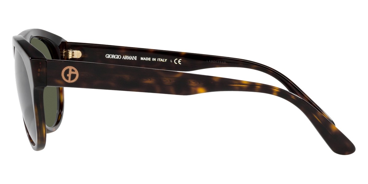 Giorgio Armani Sunglasses 0AR8145F58793
