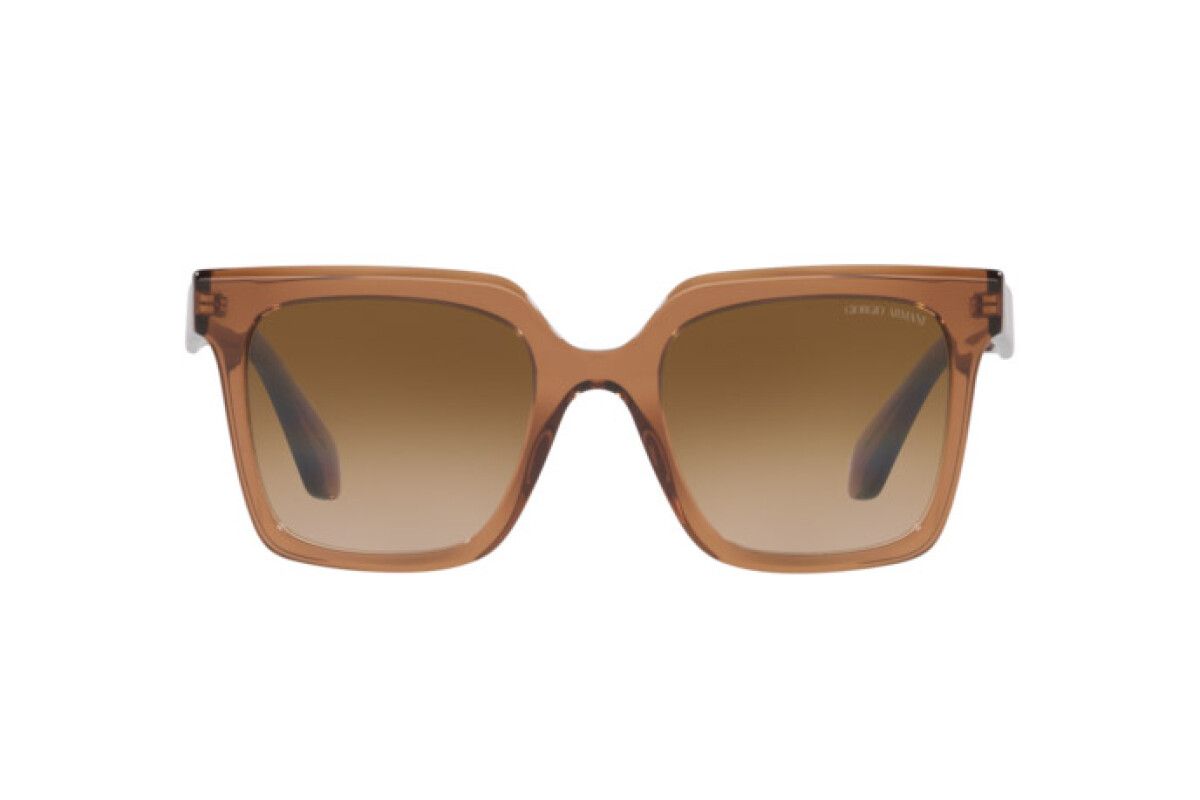 Giorgio Armani Sunglasses AR8156-593251